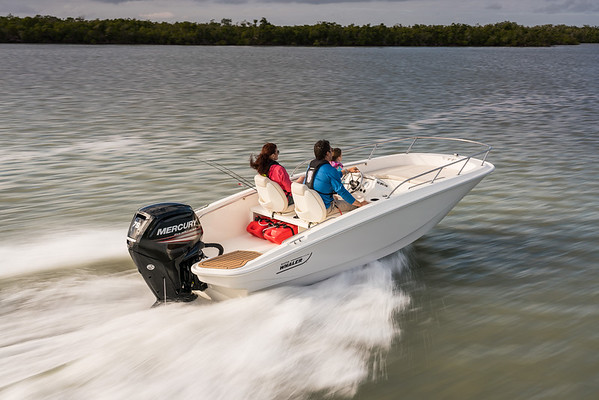 Boston Whaler 160 Super Sport фото 1.9