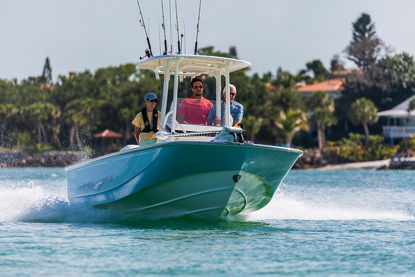 Boston Whaler 210 Montauk фото 1.14