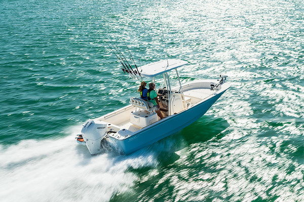 Boston Whaler 210 Montauk фото 1.10