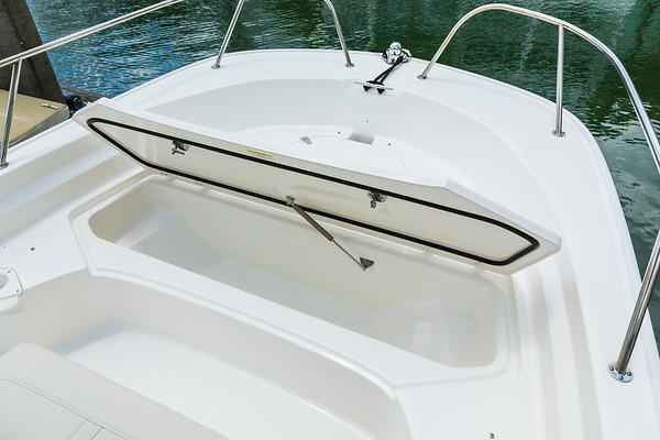 Boston Whaler 190 Montauk фото 1.4