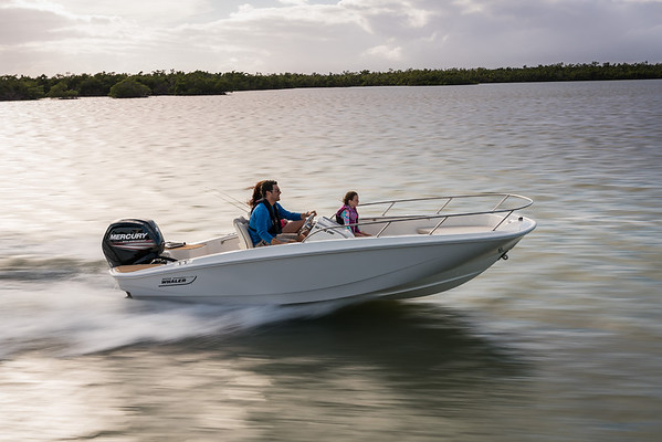 Boston Whaler 160 Super Sport фото 1.8