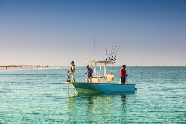 Boston Whaler 210 Montauk фото 1.11
