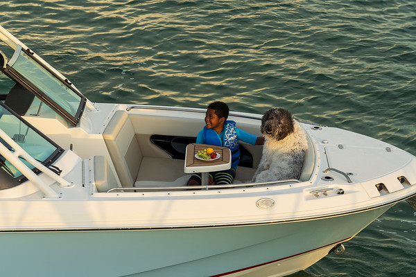Boston Whaler 240 Vantage фото 1.2