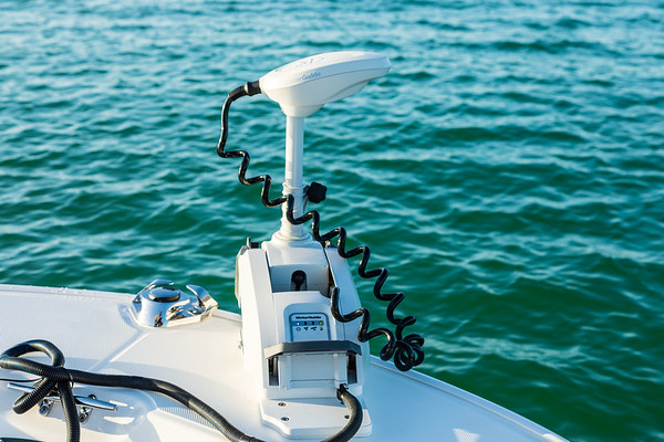 Boston Whaler 210 Montauk фото 1.9