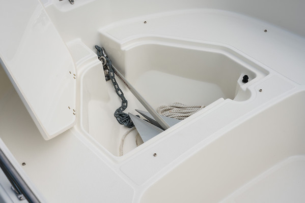 Boston Whaler 160 Super Sport фото 1.5