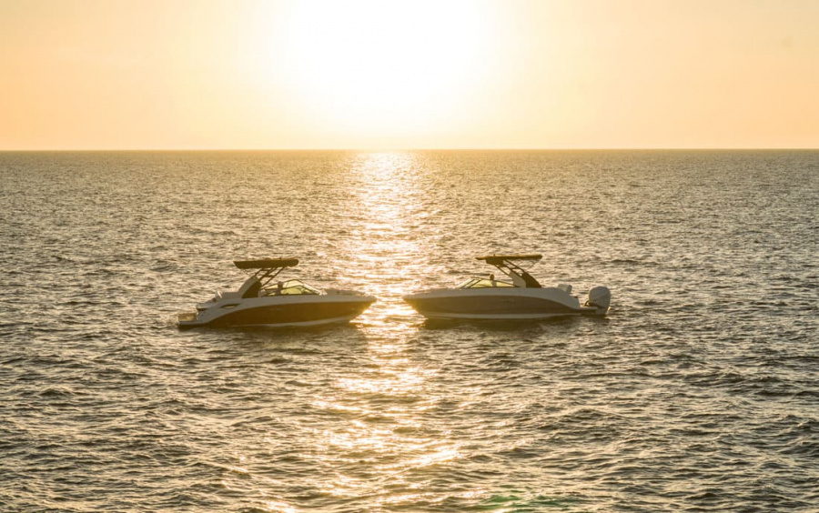 Sea Ray SDX 250 OB фото 1.3