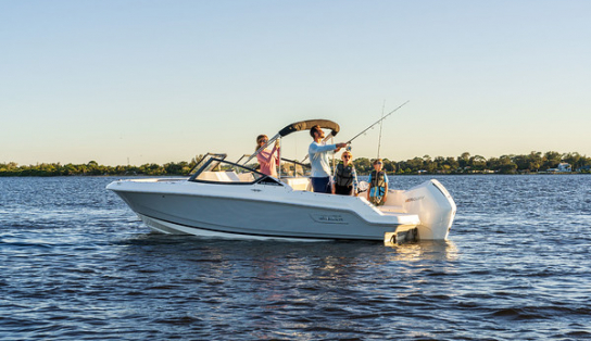 Boston Whaler 210 Vantage