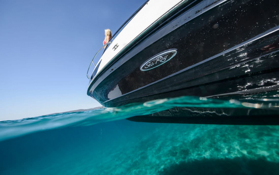 Sea Ray  230 SunSport фото 1.4