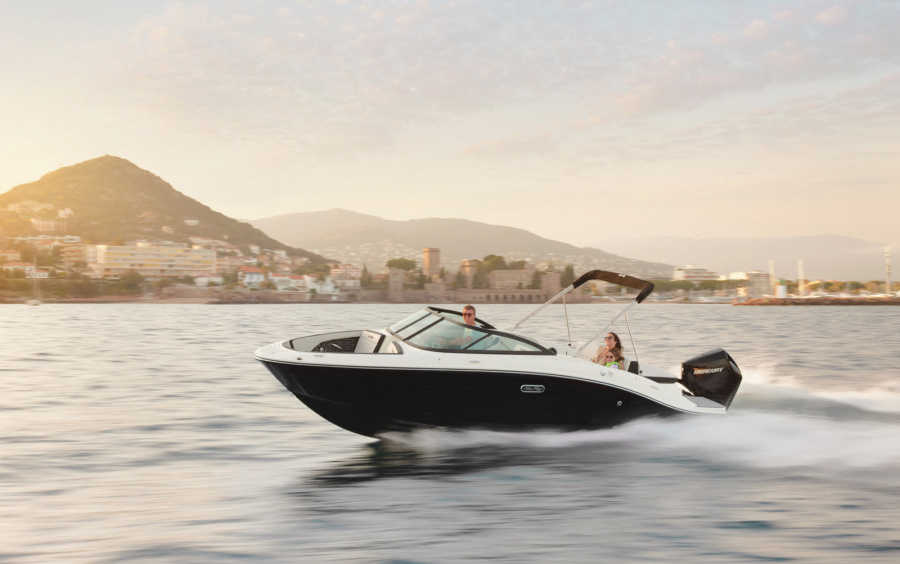 Sea Ray SPX 210 OB /871(Outboard) фото 1.1