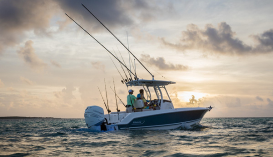 Boston Whaler 230 Outrage