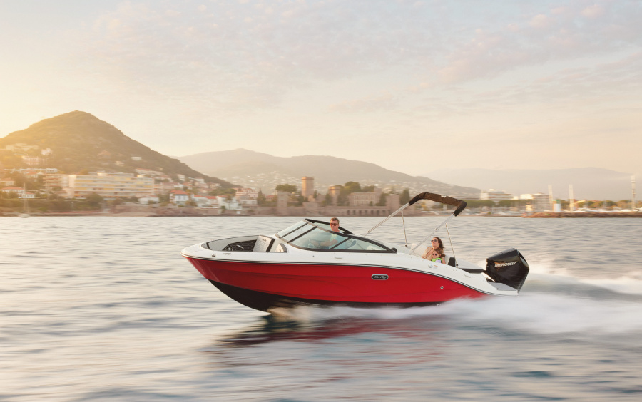 Sea Ray SPX 210 OB (Outboard) фото 1.8