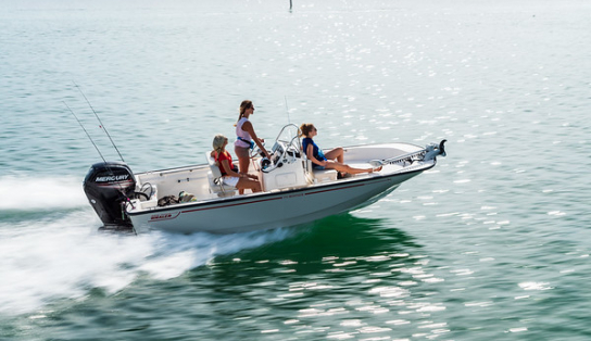 Boston Whaler 170 Montauk