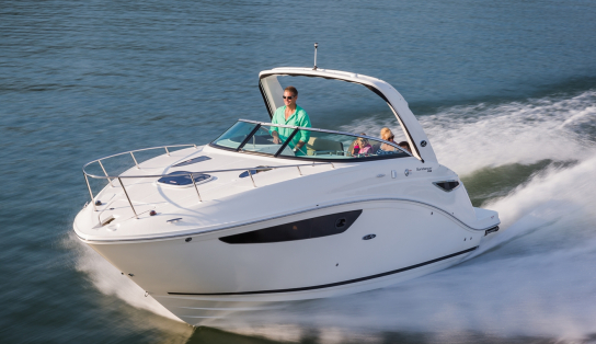 Sea Ray Sundancer 265/487