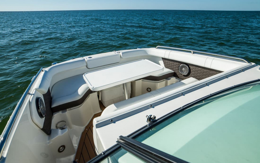 Sea Ray  SDX 250 фото 2.3