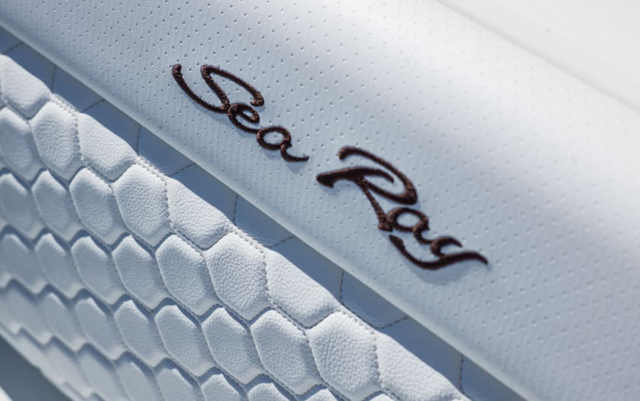 Sea Ray  SDX 250 фото 2.10