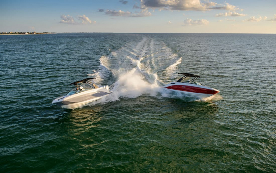 Sea Ray  SDX 250 фото 1.2