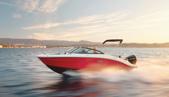 Sea Ray SPX 210 OB (Outboard)