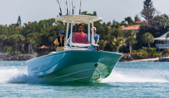 Boston Whaler 210 Montauk