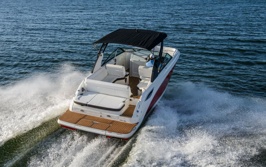 Sea Ray  SDX 250 фото 1.5