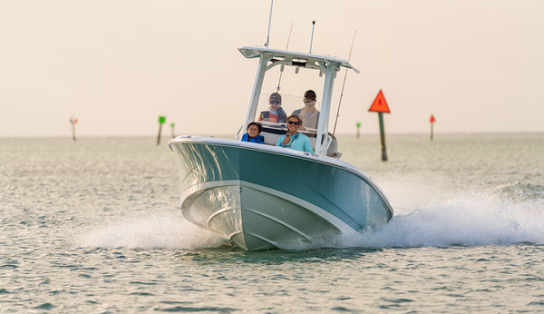 Boston Whaler 250 Dauntless